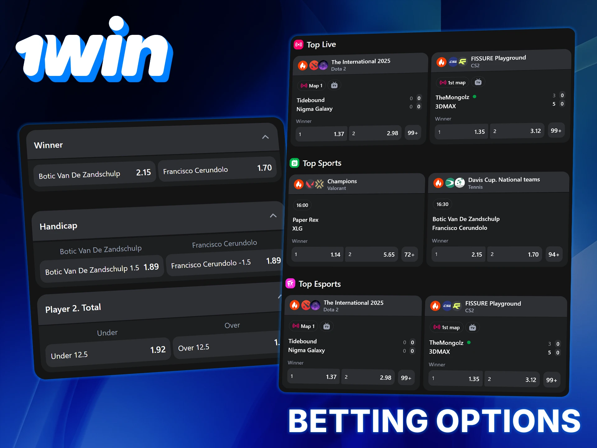 1Win offers diverse sport betting options.